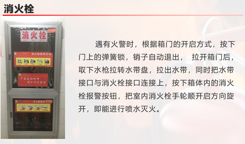 文本描述已自动生成