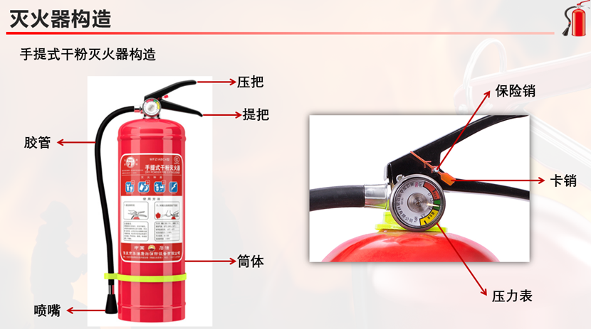 图片包含 图示描述已自动生成